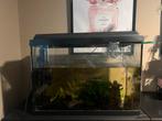 Aquarium, Dieren en Toebehoren, Ophalen, Leeg aquarium