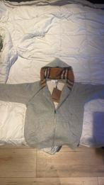 Burberry vest, Kleding | Heren, Truien en Vesten, Ophalen of Verzenden, Zo goed als nieuw