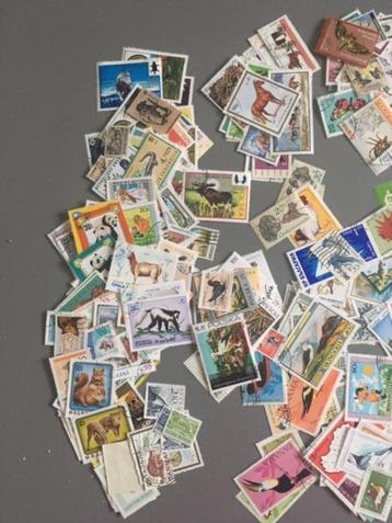 425 postzegels dieren beschikbaar voor biedingen