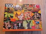 Jumbo puzzel 1000 stukjes, Hobby en Vrije tijd, Denksport en Puzzels, Ophalen of Verzenden, 500 t/m 1500 stukjes, Zo goed als nieuw