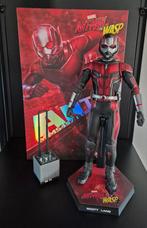 Hot Toys MMS 497, Ophalen of Verzenden, Zo goed als nieuw