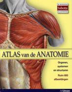 Atlas van de Anatomie H.F. Ullmann, Ophalen of Verzenden, Beta, Zo goed als nieuw, HBO