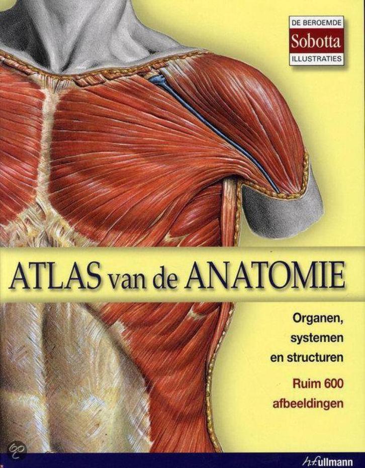 Atlas van de Anatomie H.F. Ullmann, Boeken, Studieboeken en Cursussen, Zo goed als nieuw, HBO, Beta, Ophalen of Verzenden