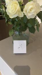 Airpods, Tuin en Terras, Ophalen of Verzenden, Overige soorten, Volle zon