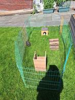 Cavia en konijnen opvang oppas, Dieren en Toebehoren, Ophalen, Nieuw, Verzorging