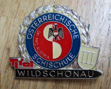 speldje Osterreichische schischule Wildschonau skiën ski beschikbaar voor biedingen