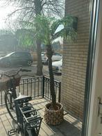 Kunst palmboom zgan - ideaal voor veranda!, Ophalen of Verzenden, Zo goed als nieuw, Binnen