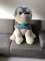 Grote knuffel hond, Ophalen, Gebruikt, Hond