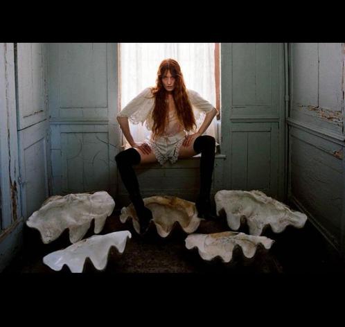 Florence + The Machine Tickets | Ziggo Dome | 25 februari, Tickets en Kaartjes, Concerten | Pop, Drie personen of meer, Februari