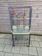 Grote papegaaien/parkietenkooi, Dieren en Toebehoren, Vogels | Hokken en Kooien, Ophalen, Metaal, Vogelkooi