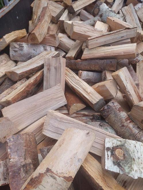 Haardhout Berk, Tuin en Terras, Haardhout, Blokken, Minder dan 3 m³, Ophalen