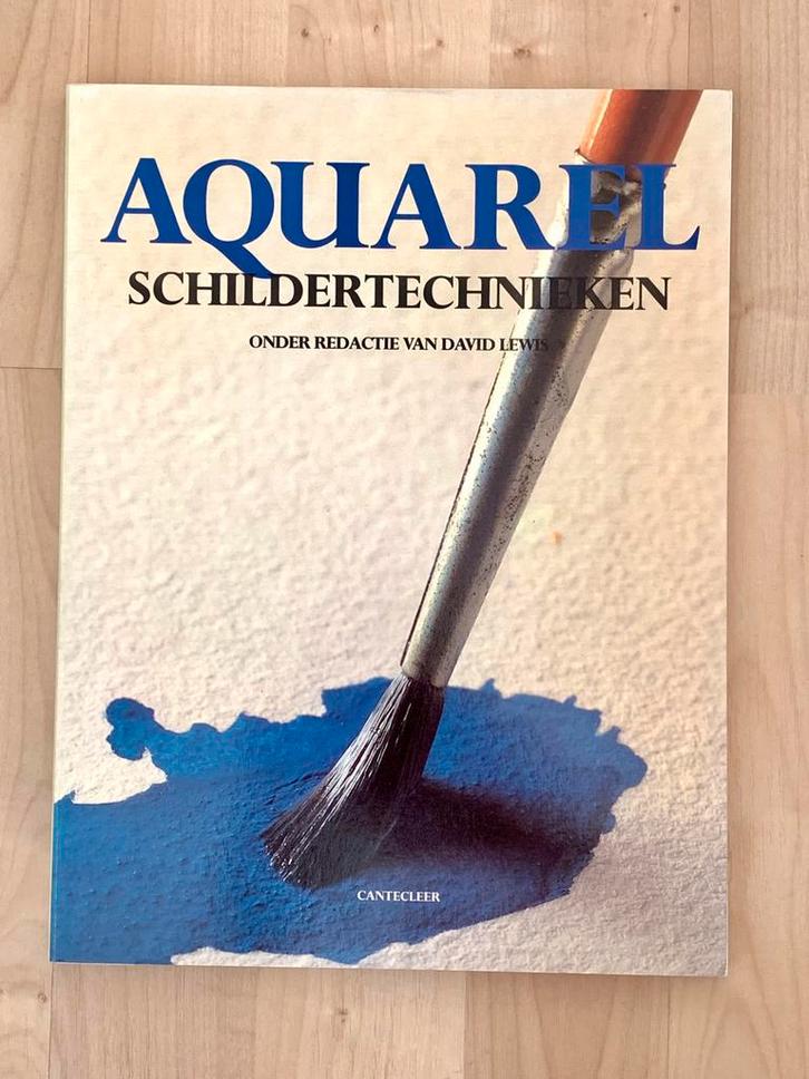 Aquarel schidertechnieken - David Lewis, Hobby en Vrije tijd, Schilderen, Gebruikt, Ophalen of Verzenden