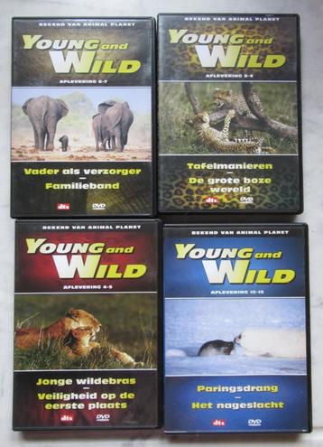 Set 4 DVD's Young and Wild beschikbaar voor biedingen