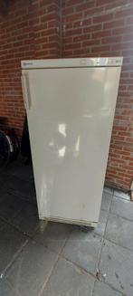 Vriezer werkt prima zo goed bezorgen is mogelijk, Witgoed en Apparatuur, Vriezers en Diepvrieskisten, Ophalen, Zo goed als nieuw