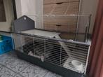 Konijnen kooi 120 cm, Ferplast Barn, Dieren en Toebehoren, Knaagdieren en Konijnen | Hokken en Kooien, Ophalen, Kooi, 60 tot 90 cm