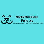 Verantwoorde Fokker? Bied uw pups nu GRATIS aan!, Dieren en Toebehoren, Rabiës (hondsdolheid), 8 tot 15 weken, Meerdere, Meerdere dieren