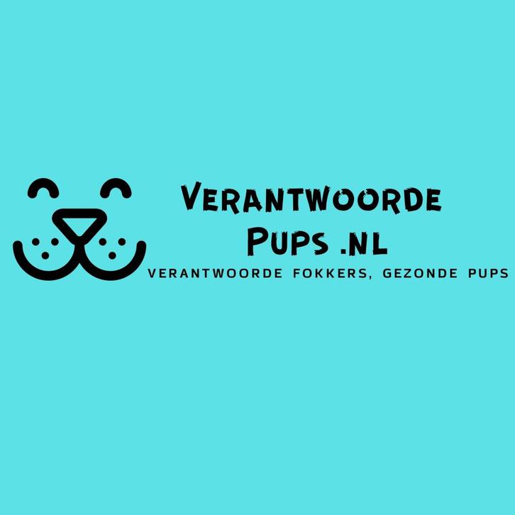 Verantwoorde Fokker? Bied uw pups nu GRATIS aan!, Dieren en Toebehoren, Honden | Retrievers, Spaniëls en Waterhonden, Meerdere dieren