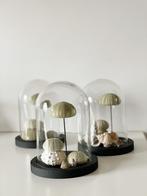 Stolp met zee-egel schelpen, Ophalen of Verzenden, Gebruikt