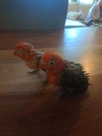 Jonge agaponis om tam te maken, Dieren en Toebehoren, Vogels | Parkieten en Papegaaien, Geslacht onbekend, Dwergpapegaai of Agapornis