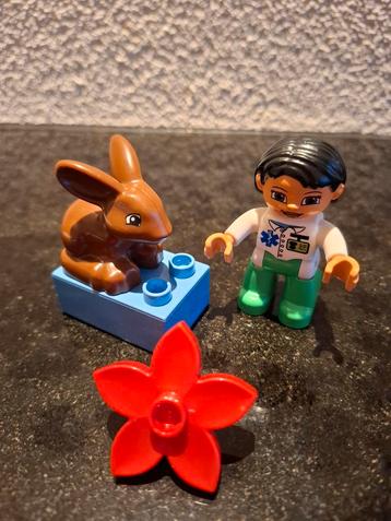 Duplo Dierenarts 5685 beschikbaar voor biedingen