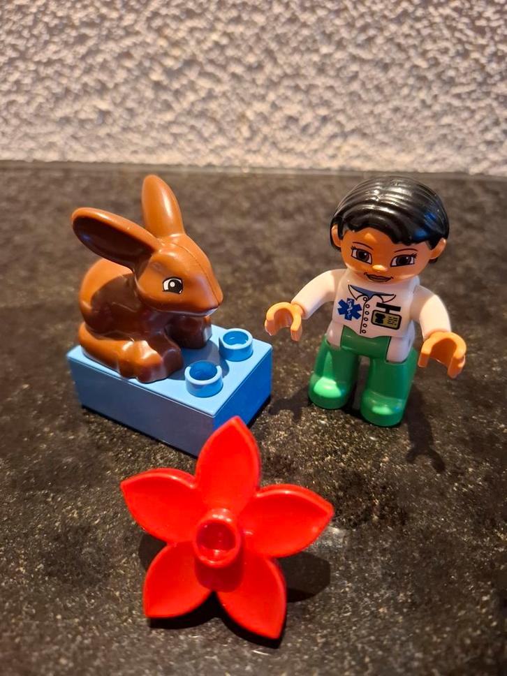 Duplo Dierenarts 5685, Kinderen en Baby's, Speelgoed | Duplo en Lego, Zo goed als nieuw, Duplo, Complete set, Ophalen of Verzenden