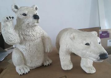 ijsberen  beschikbaar voor biedingen