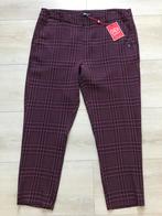 Nieuw geruite bordeaux broek Didi maat 46, Kleding | Dames, Overige kleuren, Maat 46/48 (XL) of groter, Nieuw, Ophalen of Verzenden