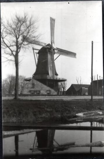 (NH312) Ansichtkaart Oudorp Alkmaar molen 't Roode Hert beschikbaar voor biedingen