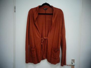Linnen vest met lange mouwen, bruin Didi, maat Xl / 44 beschikbaar voor biedingen