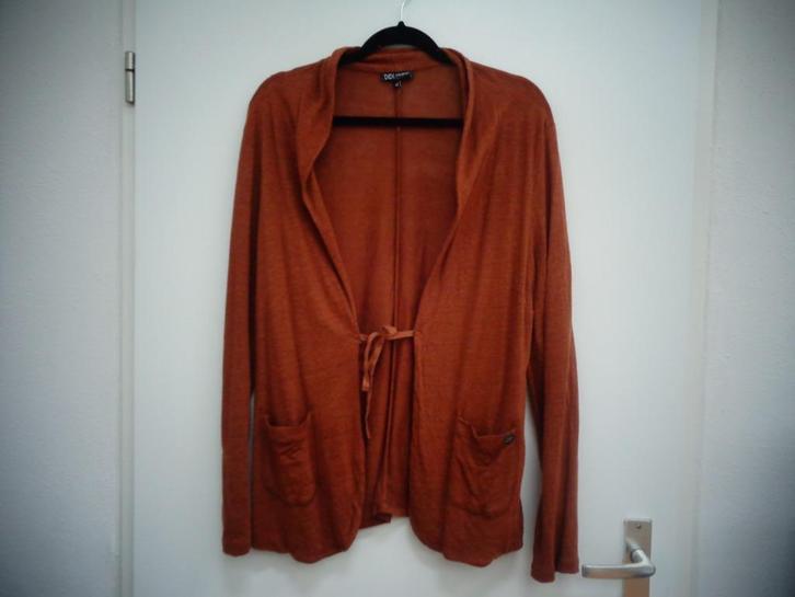 Linnen vest met lange mouwen, bruin Didi, maat Xl / 44, Kleding | Dames, Truien en Vesten, Zo goed als nieuw, Maat 42/44 (L), Bruin