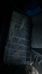 hamster kooi in alleen inrlkaar zetten heel gemakkelijk, Dieren en Toebehoren, Ophalen of Verzenden, Zo goed als nieuw, Minder dan 65 cm