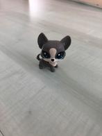 Littlest pet shop hond, Ophalen of Verzenden, Zo goed als nieuw