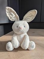 Kiekeboe Konijn Flora - speelt en zingt, Ophalen, Zo goed als nieuw, Konijn