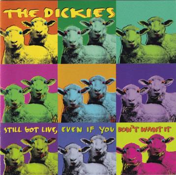 The Dickies - Still got Live CD US Punk 1977-85 ROIR