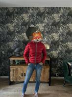 Colmar Rode Dames Jas - Maat S, Dieren en Toebehoren, Overige soorten, Ophalen of Verzenden, Zo goed als nieuw, Dames