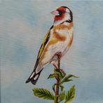 schilderij puttertje 110 - origineel cadeau - vogel - putter, Minder dan 50 cm, Oorspronkelijke maker, Nieuw, Ophalen of Verzenden