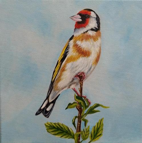 schilderij puttertje 110 - origineel cadeau - vogel - putter, Huis en Inrichting, Woonaccessoires | Schilderijen, Tekeningen en Foto's