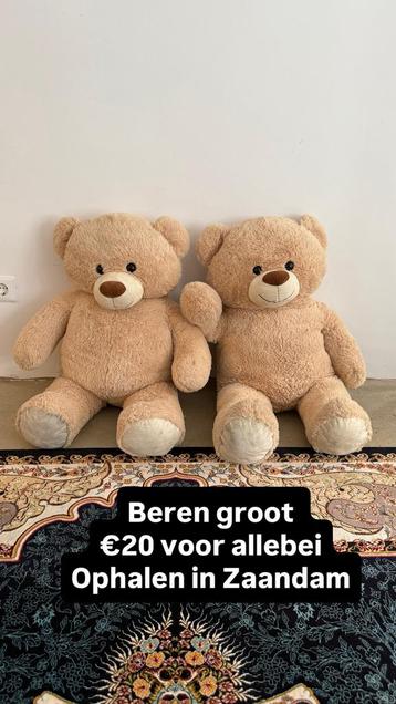 Beren groot 60-70 cm beschikbaar voor biedingen