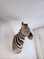 Prachtige originele zebrakop., Ophalen of Verzenden, Zo goed als nieuw, Beeldje of Figuurtje