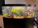 Prachtige Juwel 450 liter Vision aquarium, Dieren en Toebehoren, Vissen | Aquaria en Toebehoren, Ophalen, Zo goed als nieuw, Gevuld zoetwateraquarium