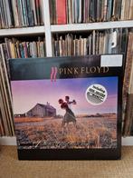 Pink Floyd  - a collection of great dance songs LP, Cd's en Dvd's, Vinyl | Rock, Ophalen of Verzenden, Zo goed als nieuw, 12 inch