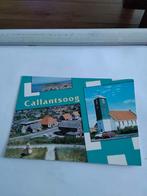 CALLANTSOOG, Verzamelen, Ansichtkaarten | Nederland, Ophalen of Verzenden