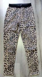 Pantalon Leopard Zara Maat S, Bruin, Zara, Ophalen of Verzenden, Zo goed als nieuw