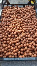 BBQ speciaal premium boilies🔥🔥🔥🔥🔥🔥🔥🔥, Ophalen of Verzenden, Nieuw, Overige typen
