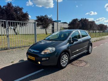 Fiat Punto 1.3 Multijet Dynamic 2e eigenaar NAP 5- deurs beschikbaar voor biedingen