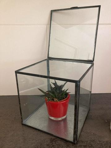 VITRINE KASTJE route A2 MSTRCHT-EINDH-UTRCHT-BRDA-DVTR beschikbaar voor biedingen