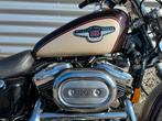 Harley Davidson 1200 Sportster Custom 1998 Anniversary, Motoren, Particulier, Chopper