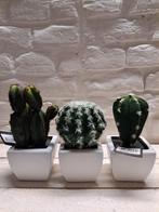 3x Kunst cactus - Decoratie - Witte Potjes, Verzenden, Nieuw, Binnen