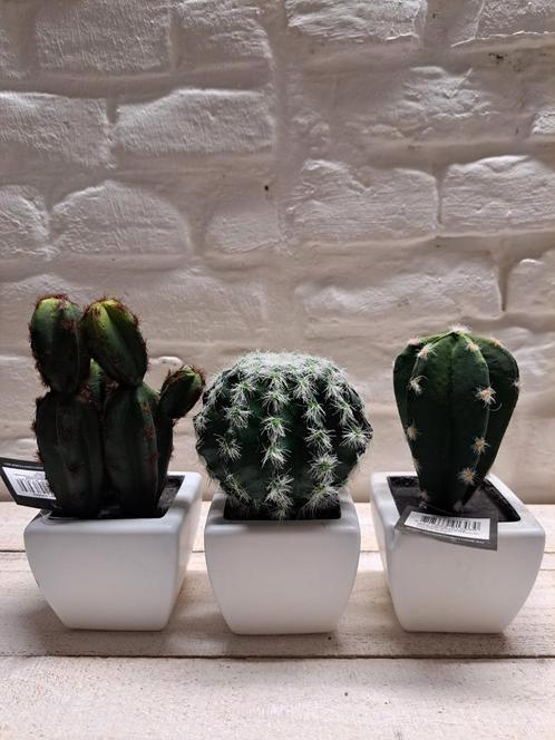 3x Kunst cactus - Decoratie - Witte Potjes, Huis en Inrichting, Woonaccessoires | Kunstplanten en Kunstbloemen, Nieuw, Binnen