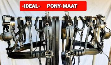  🔴 -IDEAL - PONY-MAAT MOOI 2 SPAN TUIG.ZIE OMSCH 275  €  🔴 beschikbaar voor biedingen